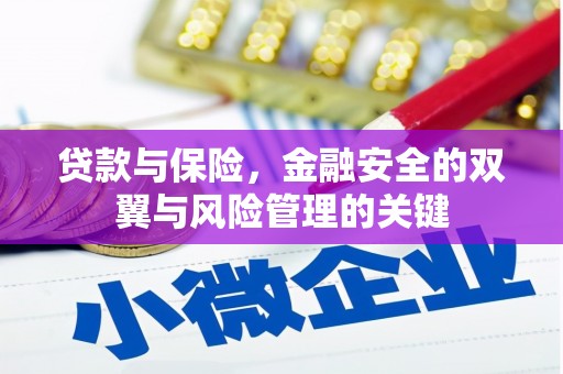 兰考贷款与保险，金融安全的双翼与风险管理的关键