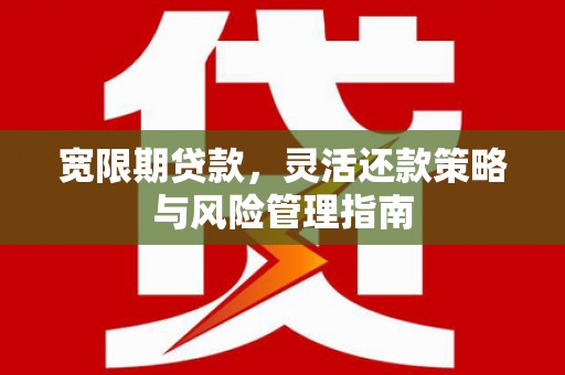 秦皇岛宽限期贷款，灵活还款策略与风险管理指南