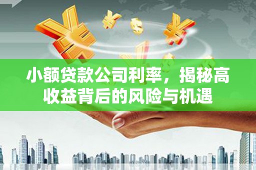 西和小额贷款公司利率，揭秘高收益背后的风险与机遇
