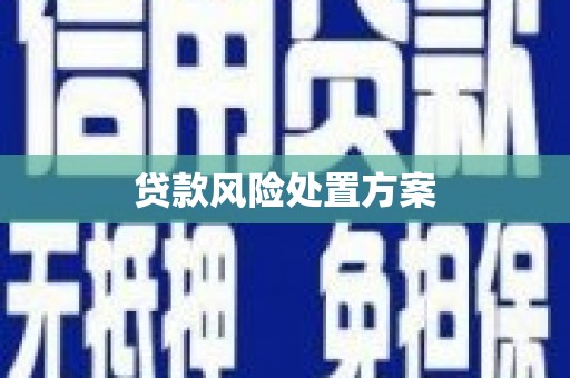 贾汪贷款风险处置方案