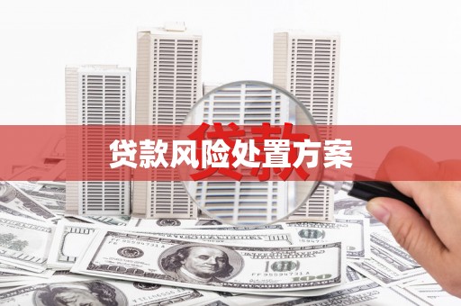 章丘贷款风险处置方案