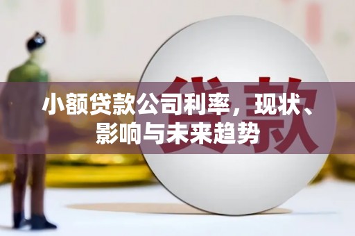 静宁小额贷款公司利率，现状、影响与未来趋势