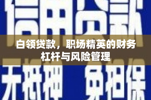 莫旗白领贷款，职场精英的财务杠杆与风险管理