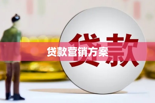卧龙贷款营销方案