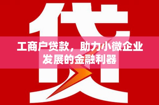 达孜工商户贷款，助力小微企业发展的金融利器