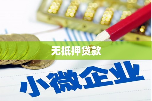 乐安无抵押贷款