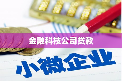 呼玛金融科技公司贷款