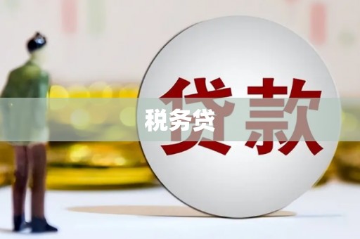 镇远税务贷