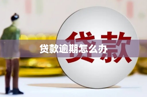 西陵贷款逾期怎么办
