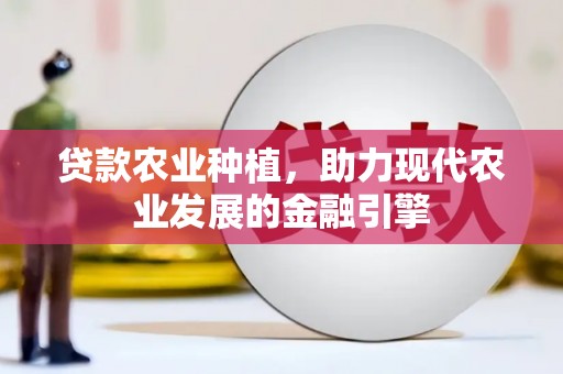 布拖贷款农业种植，助力现代农业发展的金融引擎