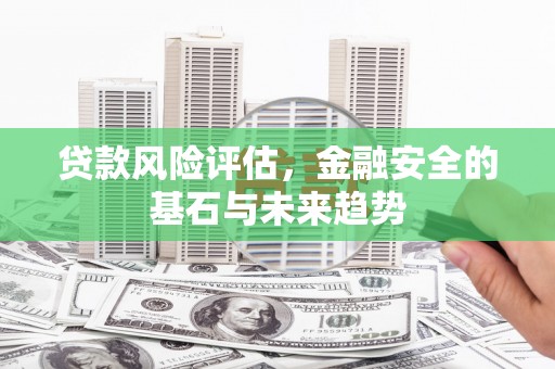 馆陶贷款风险评估，金融安全的基石与未来趋势