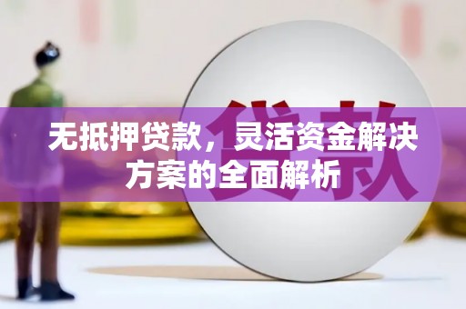 安陆无抵押贷款，灵活资金解决方案的全面解析