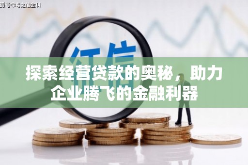 玉山探索经营贷款的奥秘，助力企业腾飞的金融利器