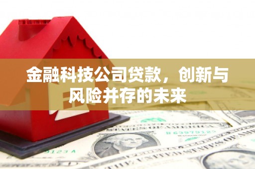 永清金融科技公司贷款，创新与风险并存的未来
