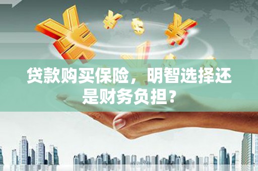 吕梁贷款购买保险，明智选择还是财务负担？