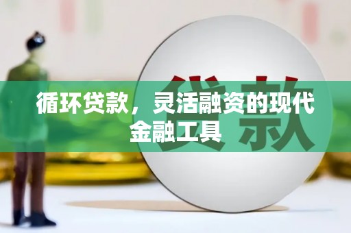 玛家循环贷款，灵活融资的现代金融工具