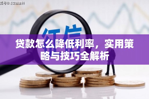 岷县贷款怎么降低利率，实用策略与技巧全解析