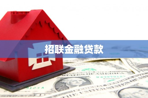 王益招联金融贷款