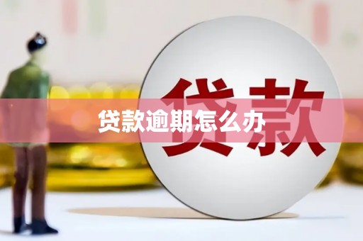 海南贷款逾期怎么办