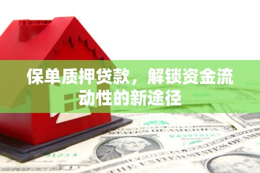 正安保单质押贷款，解锁资金流动性的新途径