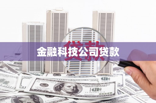 普湾新区金融科技公司贷款