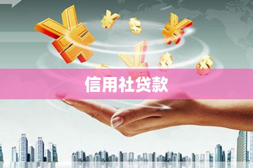 徐闻信用社贷款