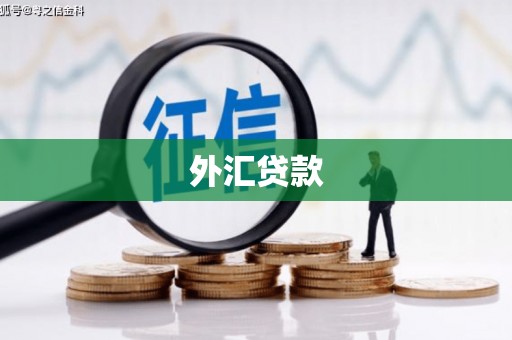 茅箭外汇贷款