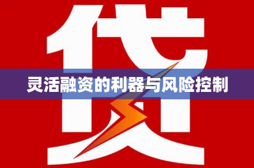 兴县灵活融资的利器与风险控制