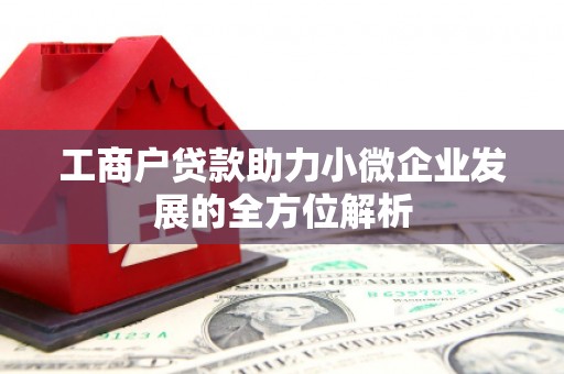 淮上工商户贷款助力小微企业发展的全方位解析
