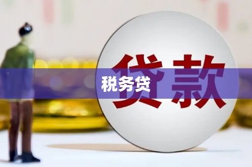 方山税务贷