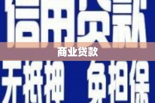 水林商业贷款