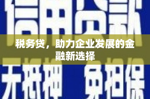 商都税务贷，助力企业发展的金融新选择