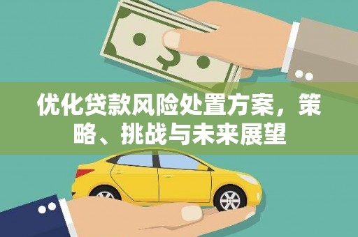 温泉优化贷款风险处置方案，策略、挑战与未来展望