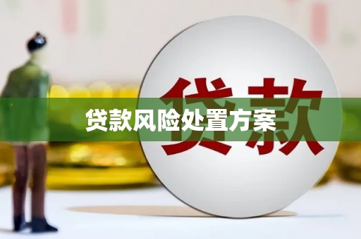 韩城贷款风险处置方案
