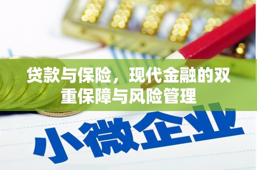 会同贷款与保险，现代金融的双重保障与风险管理