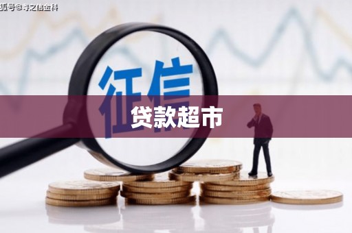 芦山贷款超市