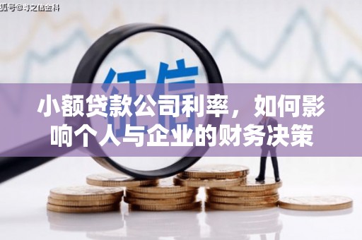 合浦小额贷款公司利率，如何影响个人与企业的财务决策