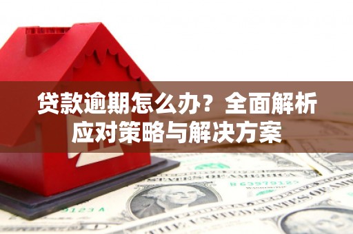 泾川贷款逾期怎么办？全面解析应对策略与解决方案