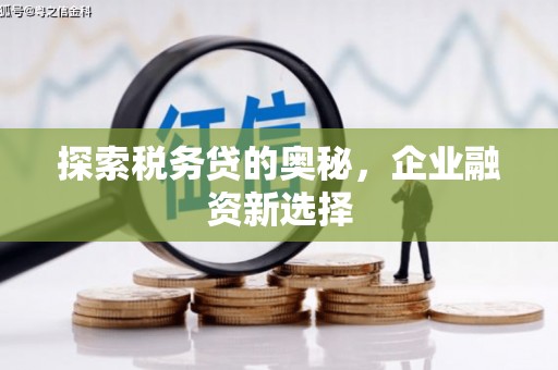 汉南探索税务贷的奥秘，企业融资新选择