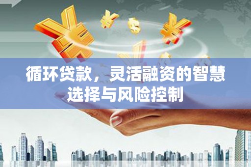 中和循环贷款，灵活融资的智慧选择与风险控制