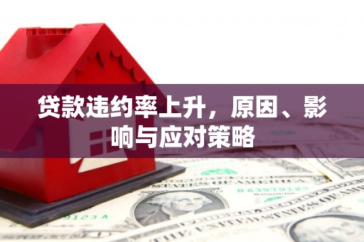 玛纳斯贷款违约率上升，原因、影响与应对策略