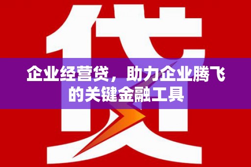温岭企业经营贷，助力企业腾飞的关键金融工具