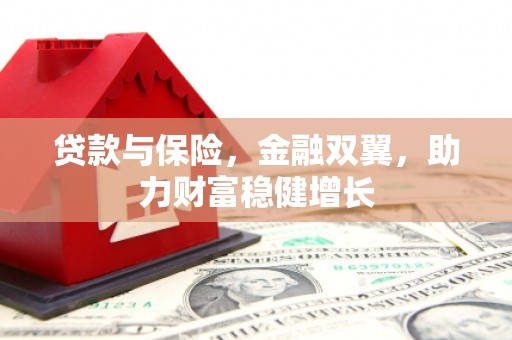 泗阳贷款与保险，金融双翼，助力财富稳健增长