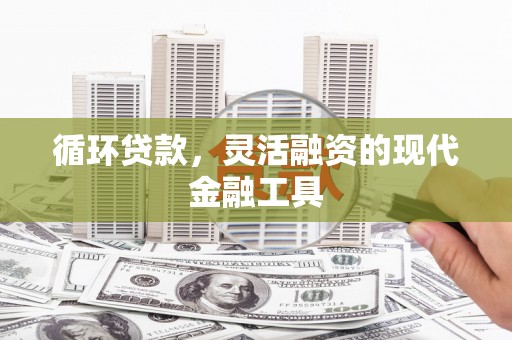 金寨循环贷款，灵活融资的现代金融工具