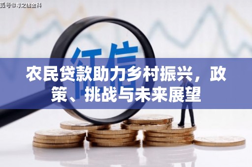 南木林农民贷款助力乡村振兴，政策、挑战与未来展望