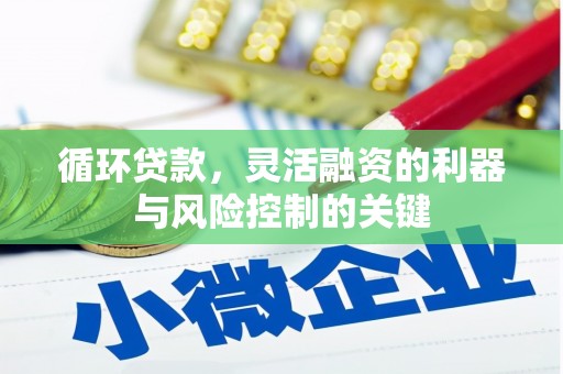 巧家循环贷款，灵活融资的利器与风险控制的关键