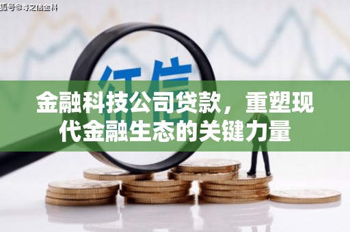 隆尧金融科技公司贷款，重塑现代金融生态的关键力量