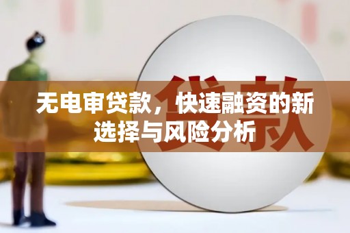 香格里拉无电审贷款，快速融资的新选择与风险分析