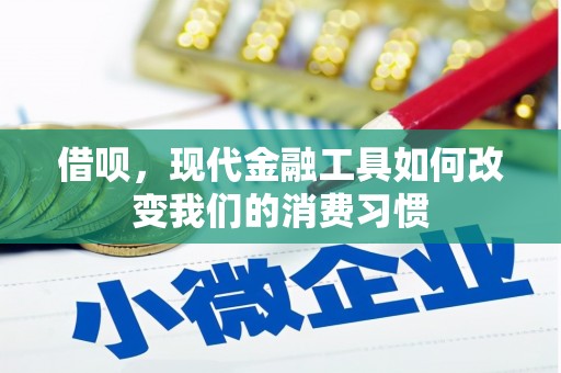 中站借呗，现代金融工具如何改变我们的消费习惯