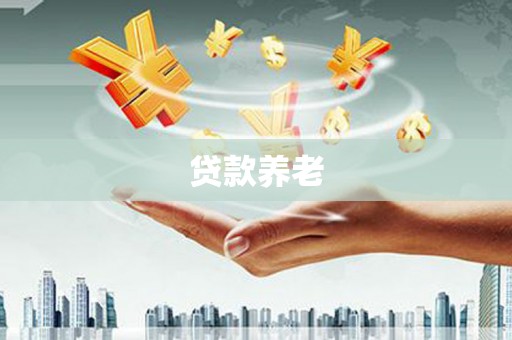 阜宁贷款养老
